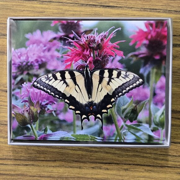 Four Boxes of Blank Notecards (48 total) with Birds and Butterflies - Picture 8 of 9